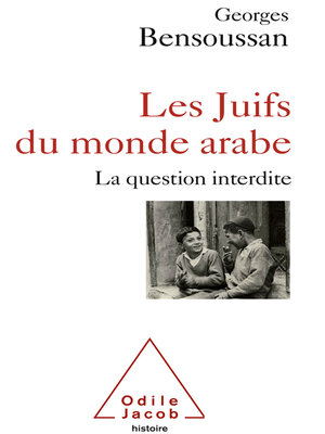 cover image of Les Juifs du monde arabe